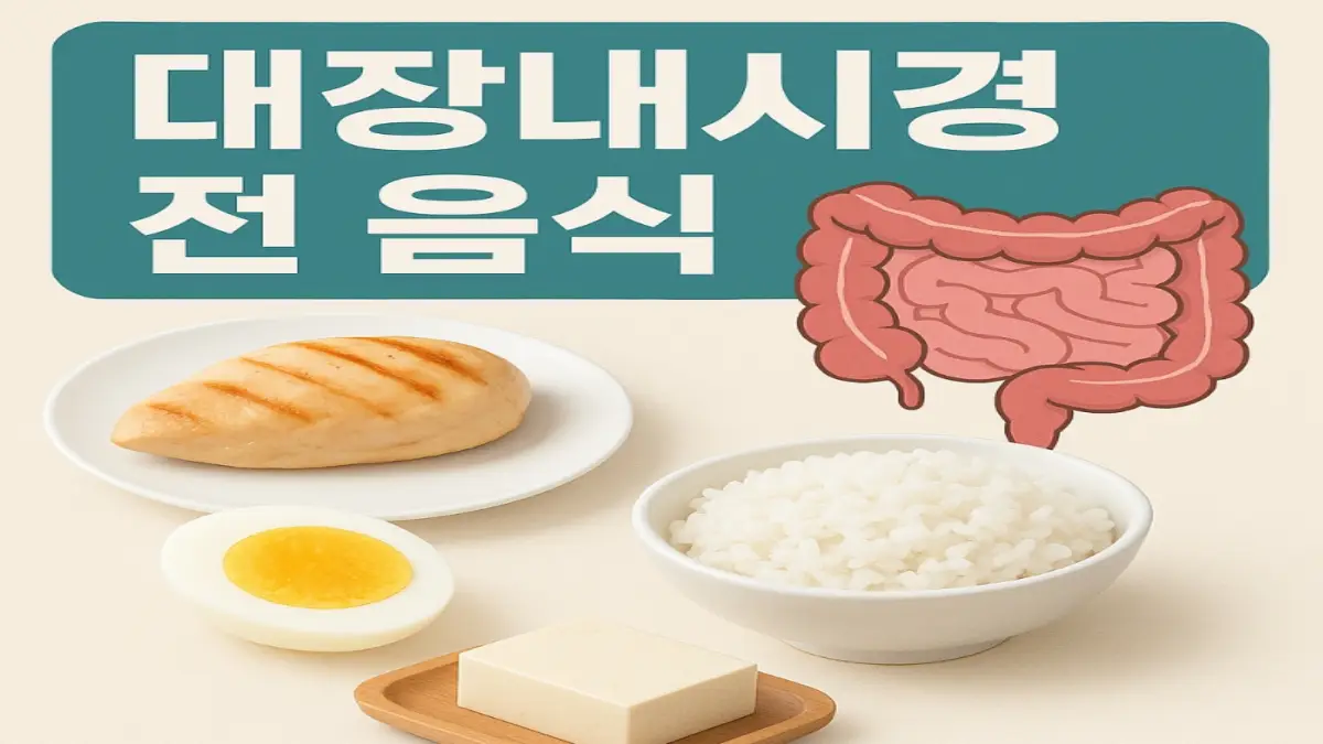 대장내시경 전 음식