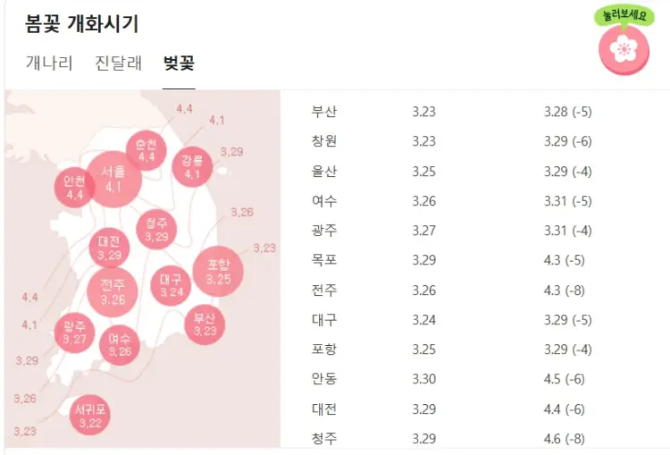 2026 벚꽃 개화시기