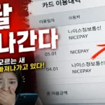나이스정보통신 29000원 결제내역 조회·결제 취소·고객센터 번호