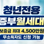 2026 청년전용 보증부월세대출 무직자 조건·한도·실제 후기·금리 총정리