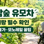 2026 화담숲 유모차 대여 불가·모노레일 접기·아기랑 동선 실제 후기 총정리